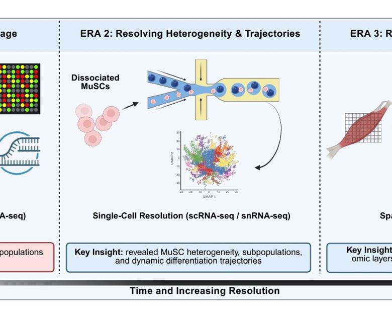 논문 관련 내용
