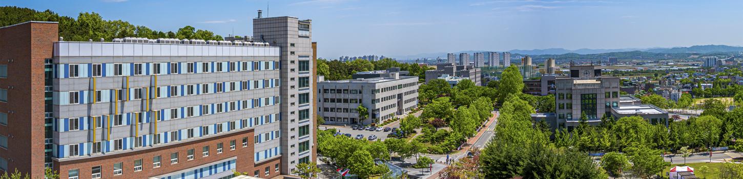 고려대학교 세종캠퍼스 문화스포츠대학